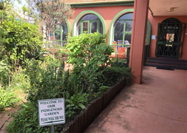 Tree Tops School