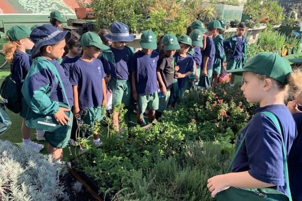 Tree Tops School